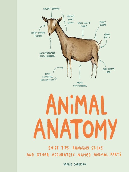 Title details for Animal Anatomy by Sophie Corrigan - Available